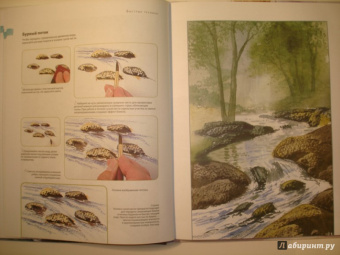 Терри Харрисон: Рисуем воду акварелью за 30 минут