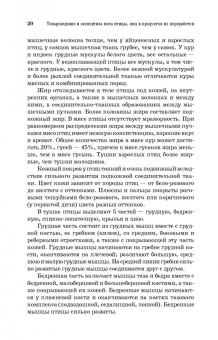 Позняковский, Мотовилов, Булатов: Товароведение и экспертиза мяса птицы. Качество и безопасность. Учебное пособие. СПО