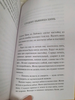 Сунлин Пу: Лисьи чары