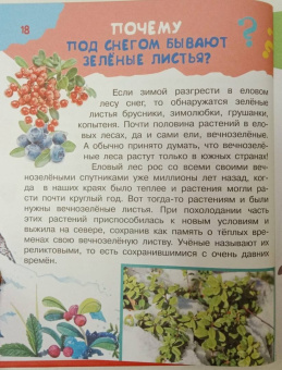 Малов, Альтшулер: Почему и отчего. Самые интересные детские вопросы