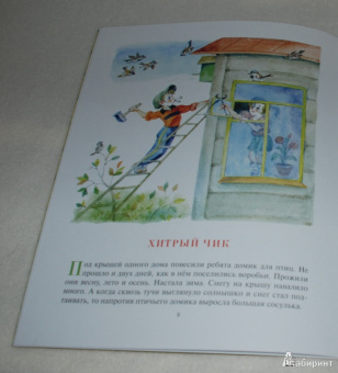 Владимир Зотов: Король и Воришки