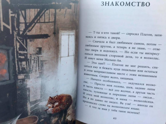 Анастасия Строкина: Держиоблако