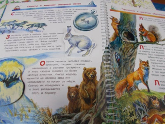 Владимир Бабенко: Животные