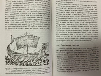 Марк Бертнесс: Краткая естественная история цивилизации