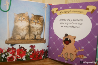 Евгения Гюнтер: Котики
