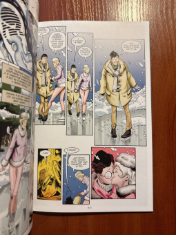 Пол Дини: Бэтмен. Мистер Фриз