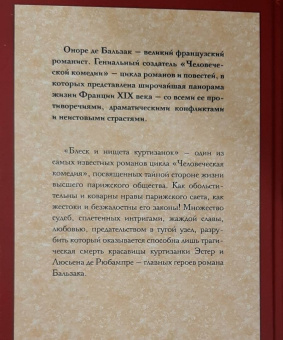 Оноре Бальзак: Блеск и нищета куртизанок