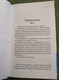 Лэй Ми: Профайлер