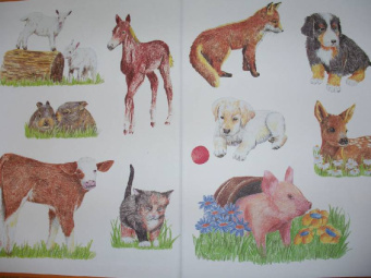 Уте Людвиг-Кайзер: Мои первые уроки рисования. Рисуем зверюшек!