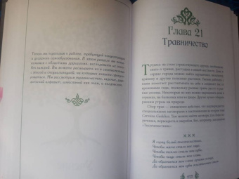 ван дер Ховен Джоанна: Книга странствующего друида. Полное руководство для одинокого искателя