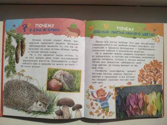 Малов, Альтшулер: Почему и отчего. Самые интересные детские вопросы