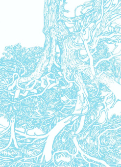 Дэнни Пенман: Искусство дыхания. Секрет осознанной жизни