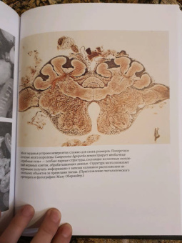 Уилсон, Хёлльдоблер: Путешествие к муравьям