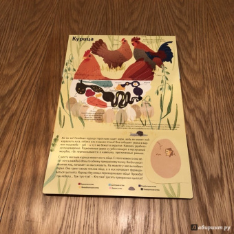 Боманн, Дюпон: Животные снаружи и внутри