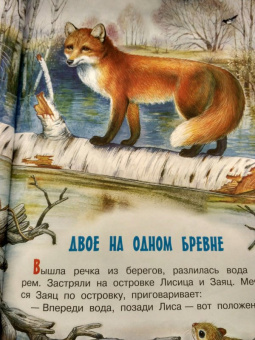 Николай Сладков: Сказки лесной опушки