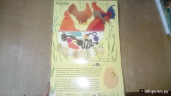 Боманн, Дюпон: Животные снаружи и внутри