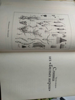 Элизабет Гилберт: Происхождение всех вещей