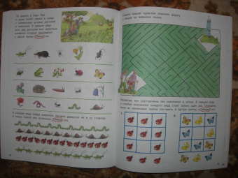 Наташа Буцик: Думай и играй