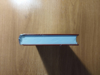 Ирвин Уэлш: Сексуальная жизнь сиамских близнецов