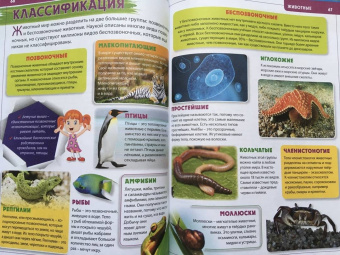 Энциклопедия для будущих отличников обо всём на свете