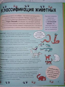 Noodle Fuel: Звери. От броненосца до зебры. Самые невероятные факты, рекорды и достижения