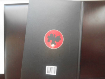 Уильям Гэсс: Тоннель