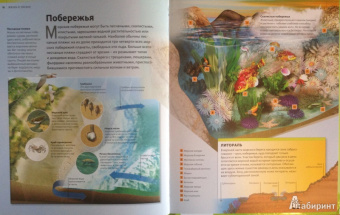 Жизнь в океане