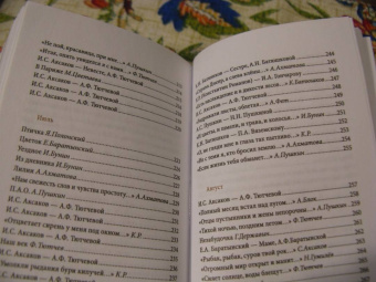 Тихая пристань. Дневник русской поэзии