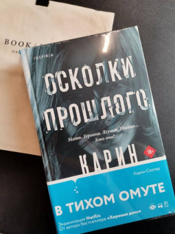 Карин Слотер: Осколки прошлого