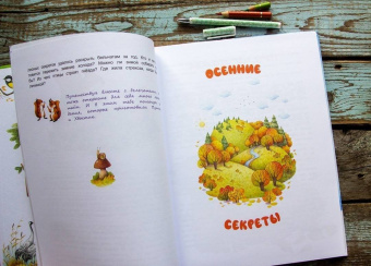 Дороченкова, Кравчук: Лесные секреты