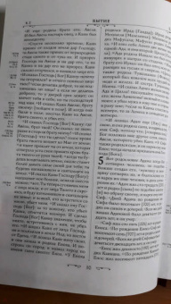 Библия. Книги Священного Писания Ветхого и Нового Завета (бордо)