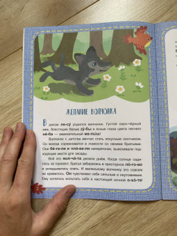 Александра Монич: Лесные секреты. 1 уровень сложности