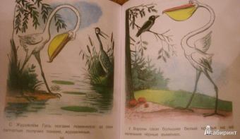 Владимир Сутеев: Загадочные истории