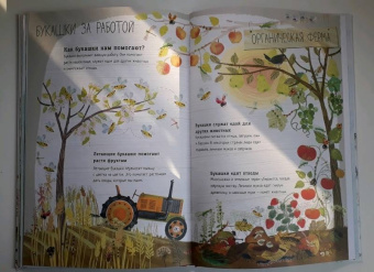 Зоммер, Тейлор: Большая книга букашек