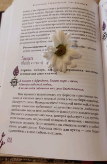 Сильвер Рэйвенвульф: Час ведьмы. Заклинания, порошки, формулы и эффективные техники ведовства