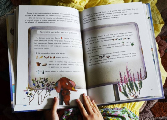 Кристина Кретова: Приключения мышонка Недо на Ладоге. Географические сказки