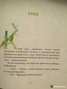 Игорь Шляпка: Весенний завтрак у Моховой Бабушки