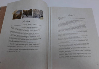 Елена Тын: Истории волшебного леса. Рецепты, рассказы, рукоделие и чудесные поделки, вдохновлённые природой