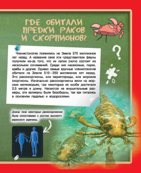 Дмитрий Туровец: Где? Когда? Как?