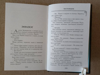 Эйке Шнайдер: Чистильщик