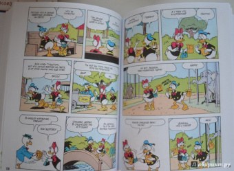 Консина, Кордара, Чимино: Дональд Дак. Невезучий, как я