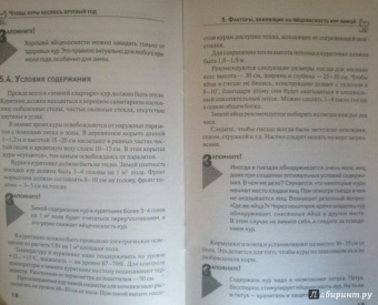 Юрий Седов: Чтобы куры неслись круглый год