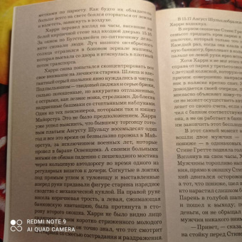 Ю Несбё: Немезида