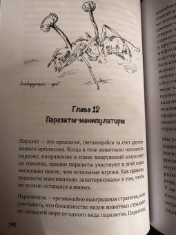 Стёстад Нюборг: Волшебная эволюция. Зачем рыбы взбираются по водопадам, а пауки танцуют