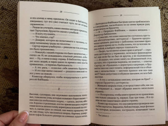 Донна Леон: Кража в Венеции