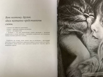 Егор Матита: Портреты. Карандашные техники достижения реализма