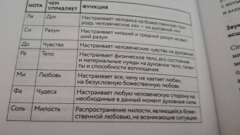 Синди Дэйл: Тонкое тело. Полная энциклопедия биоэнергетической медицины
