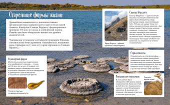 Ло, Бэйли: История жизни на Земле. От бактерии до человека