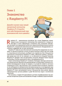 Гарет Халфакри: Raspberry Pi 4. Официальное руководство для начинающих
