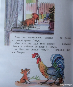 Владимир Сутеев: Загадочные истории